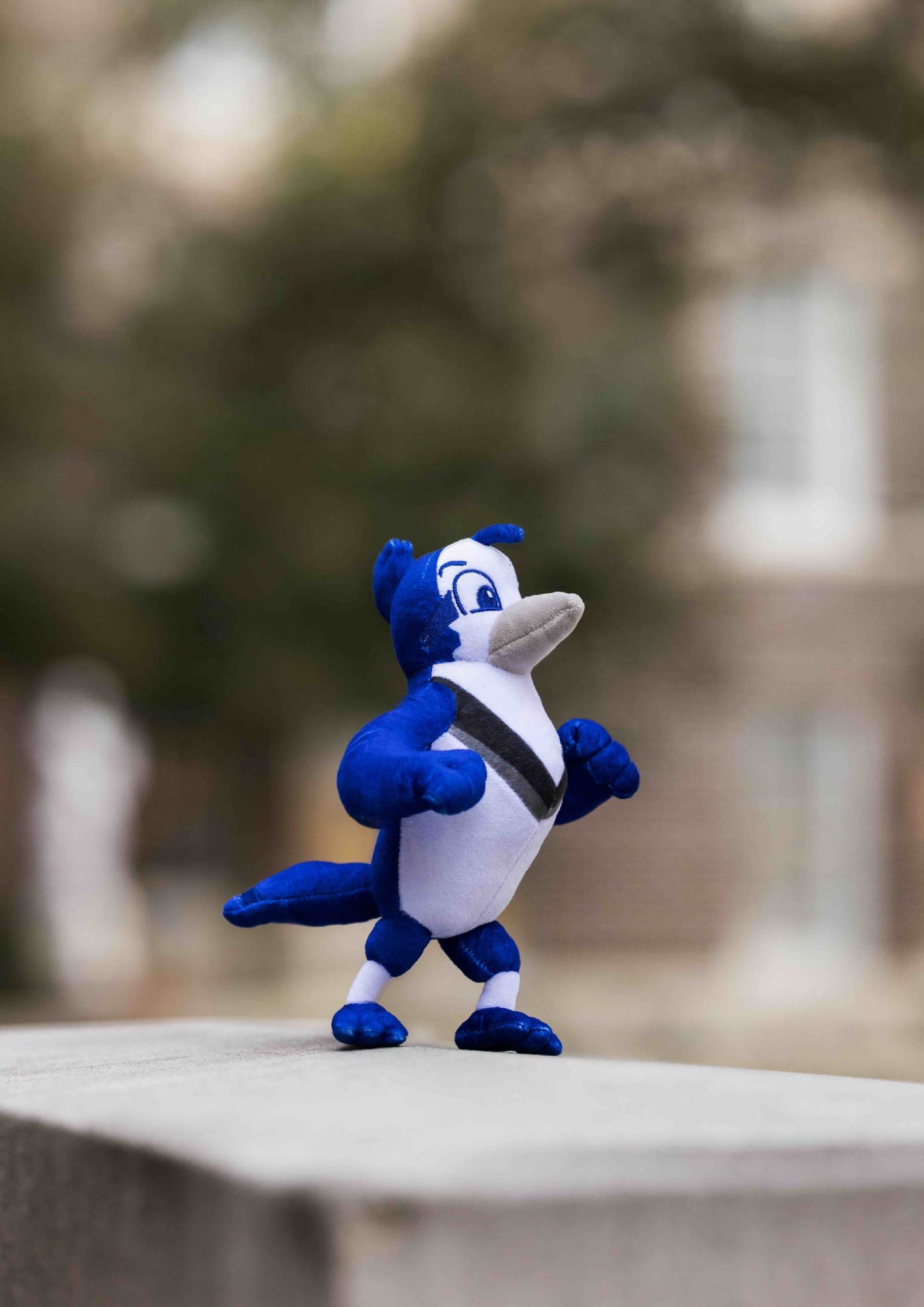 Our fighting Blue Jay, Jayson!
Stands at 8 inches tall.
Great gift for young and old!