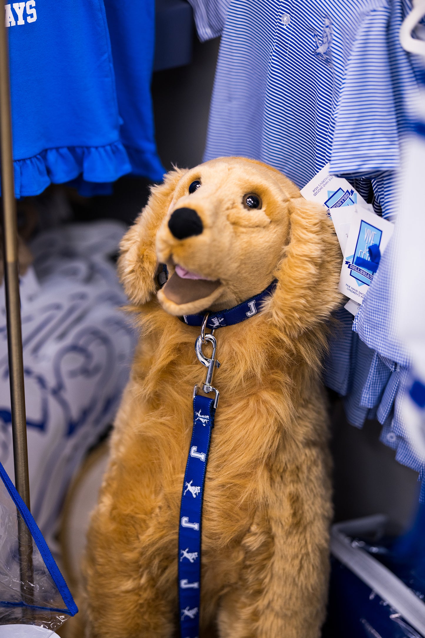 NOLA Couture. Show your dog's JESUIT Blue Jay Spirit! Measures 66". Woven Royal Blue J w/Jayson Ribbon on durable Nylon Webbing. Nickel Hardware.
