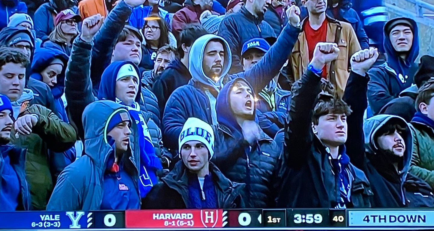 Members of the Class of 2020 cheer on their former classmate Grant Jordan at the Yale/Harvard game wearing their Blue Jay beanies and scarves!