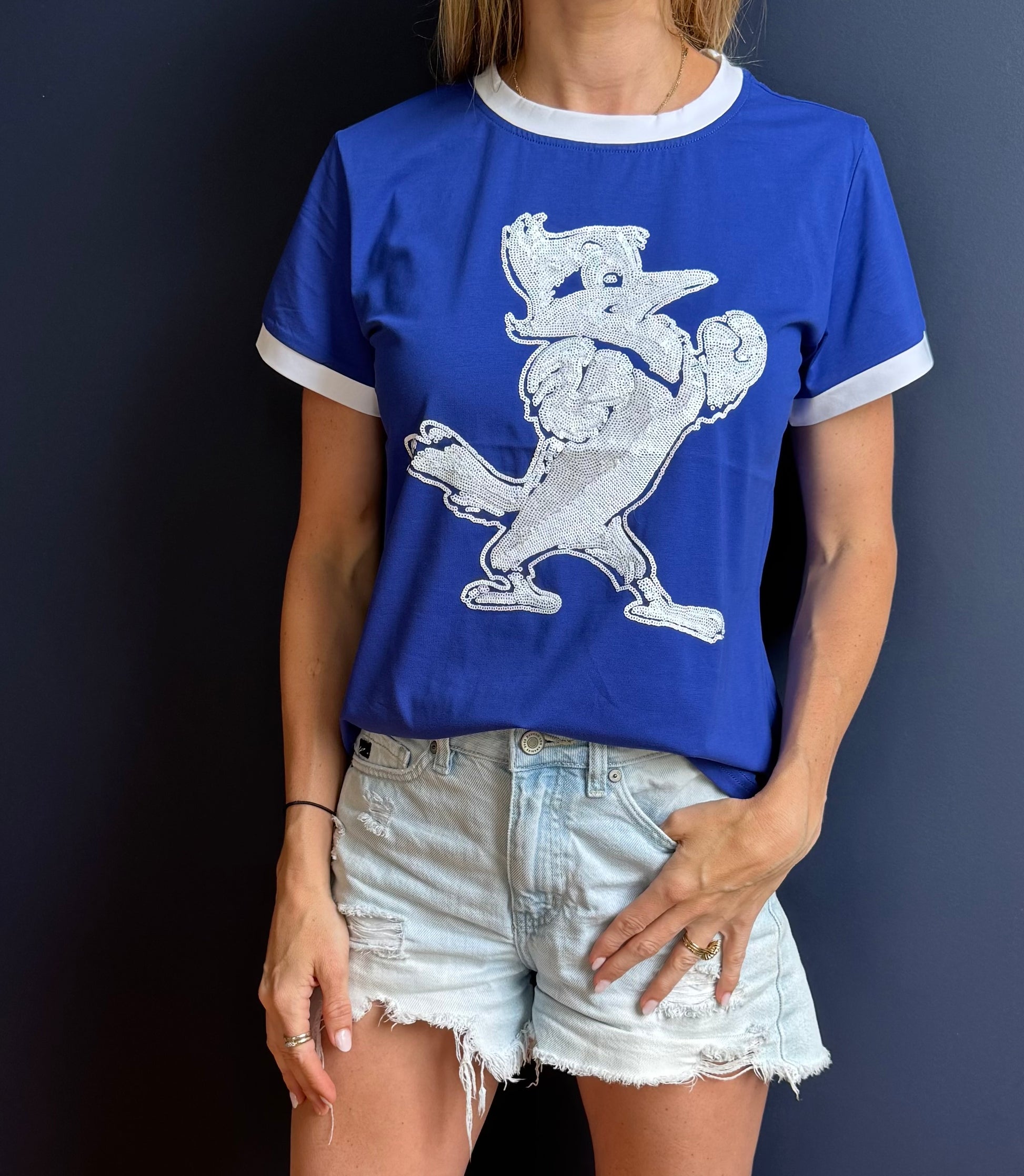 Sparkle City.

95% Cotton/5% Spandex.

Retro 'Ringer' style tee featuring our beloved Fighting Blue Jay, Jayson!

Sequin detail.
